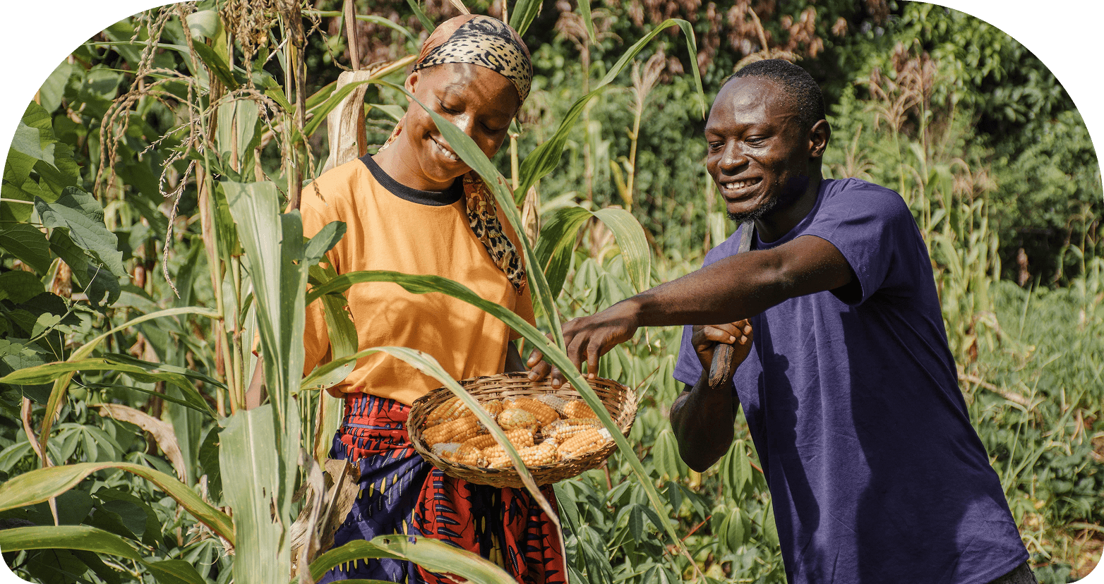 Group of farmers collaborating in a field